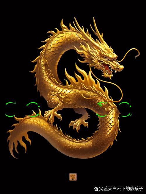 有沒有金龍圖片拍攝模板？ 有沒有金龍圖片拍攝模板？ 龍魚百科 第38張