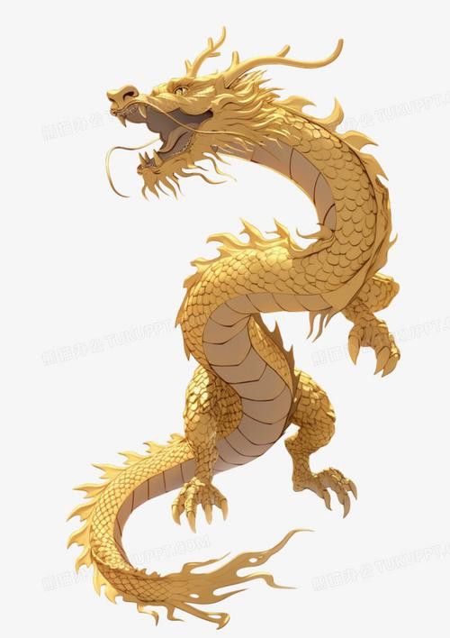 有沒有金龍圖片拍攝模板？ 有沒有金龍圖片拍攝模板？ 龍魚百科 第39張