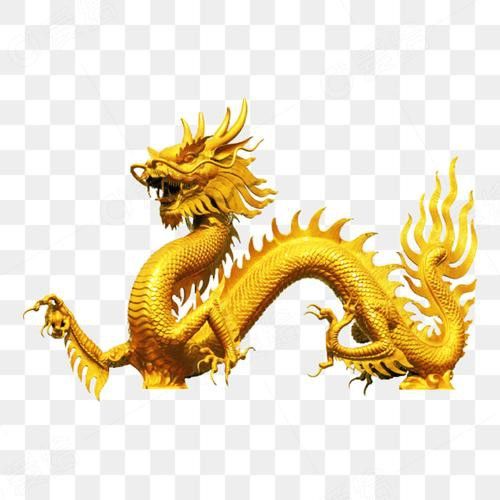 有沒有金龍圖片拍攝模板？ 有沒有金龍圖片拍攝模板？ 龍魚百科 第41張