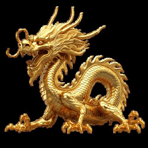 有沒有金龍圖片拍攝模板？ 有沒有金龍圖片拍攝模板？ 龍魚百科 第43張