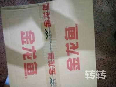 58同城二手金龍魚：58同城二手金龍魚二手金龍魚買賣交易汽車江湖網