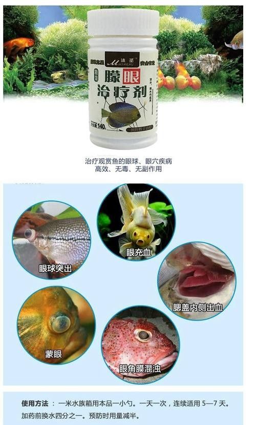 龍魚眼邊有白色物質怎么辦啊圖片