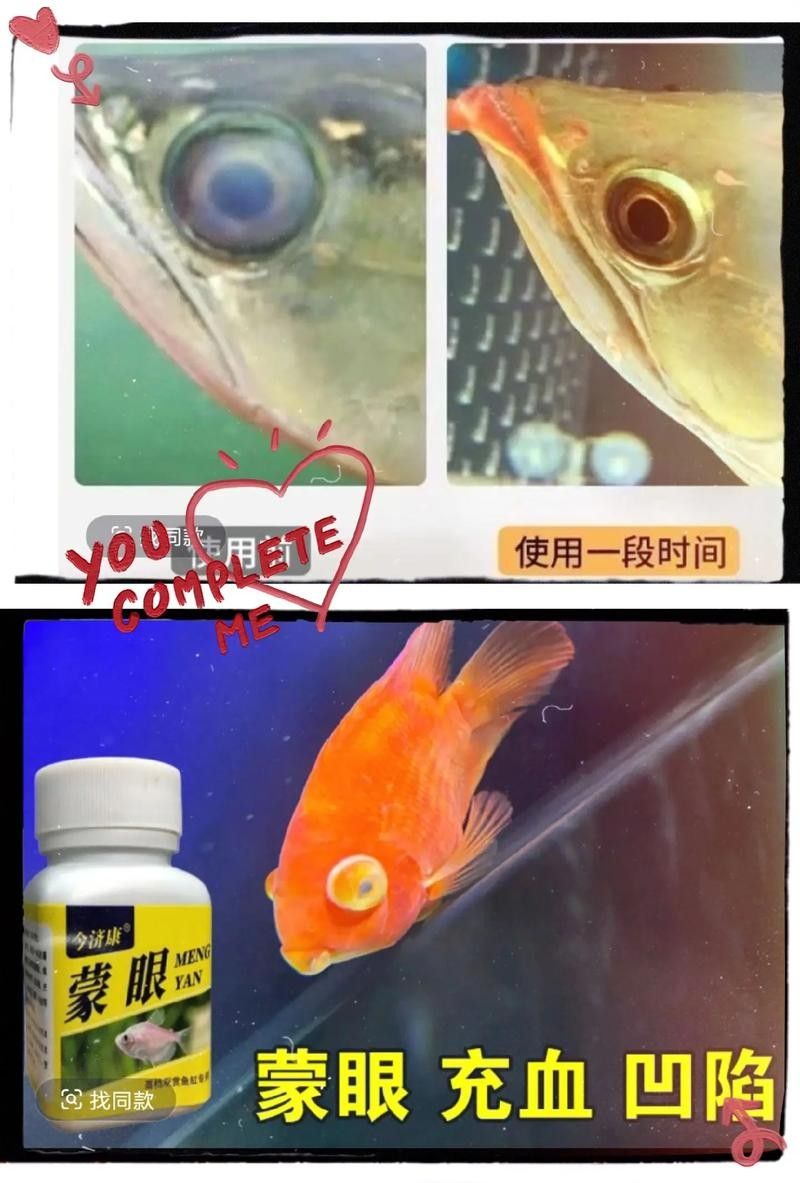 龍魚眼邊有白色物質怎么辦啊圖片