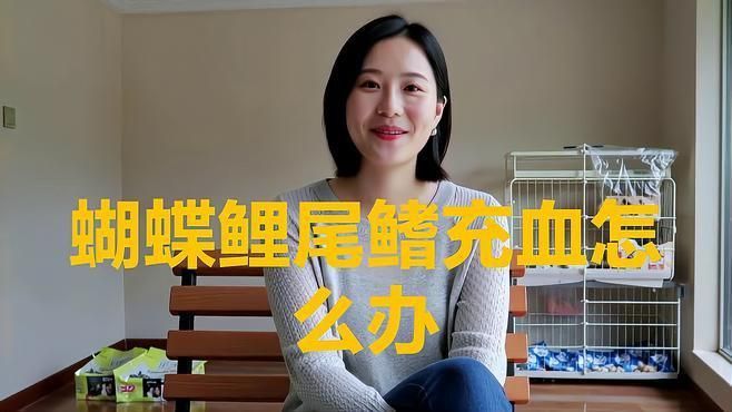 魚鰭充血期間應該如何管理水質？