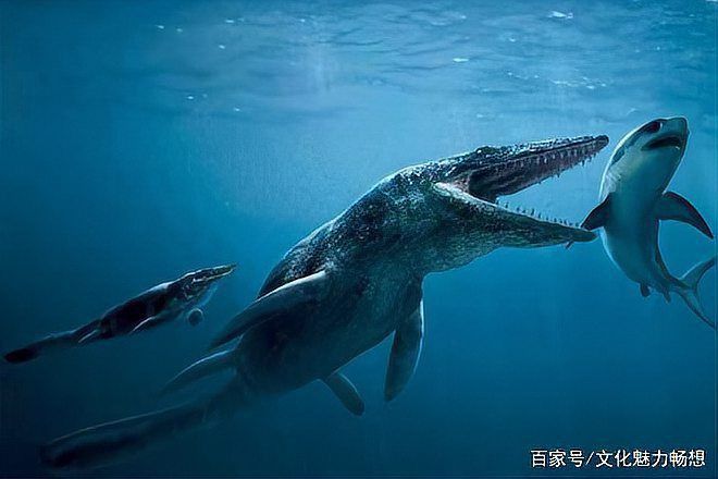 龍王鯨滅絕了嗎