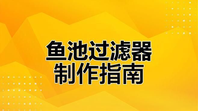 龍魚用什么缸養比較好看 龍魚用什么缸養比較好看 龍魚百科 第10張