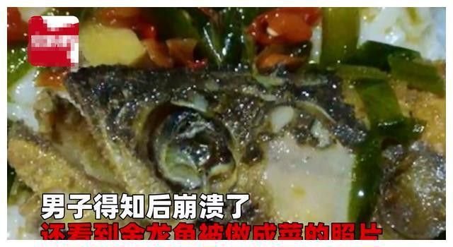 印尼金龍魚的價格是多少