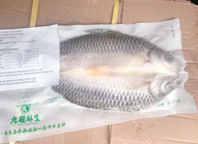 金鳳魚(yú)圖片