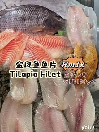 金鳳魚(yú)圖片