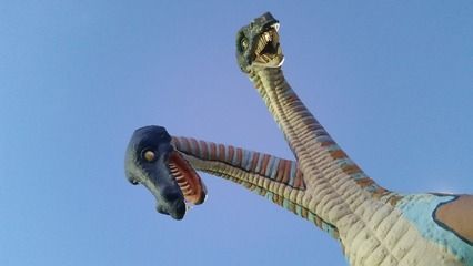 龍魚吃飽了就趴缸 貼吧（龍魚吃飽了就趴缸是什么原因引起的）