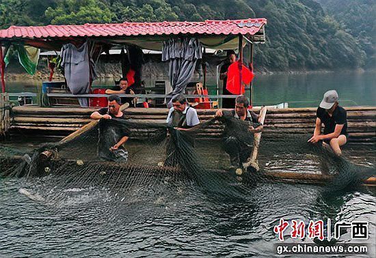 桂林龍魚養(yǎng)殖基地在哪里