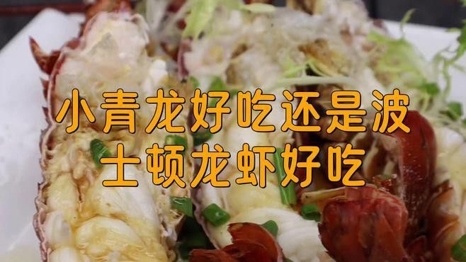 海水小青龍和越南小青龍的口感有何不同？