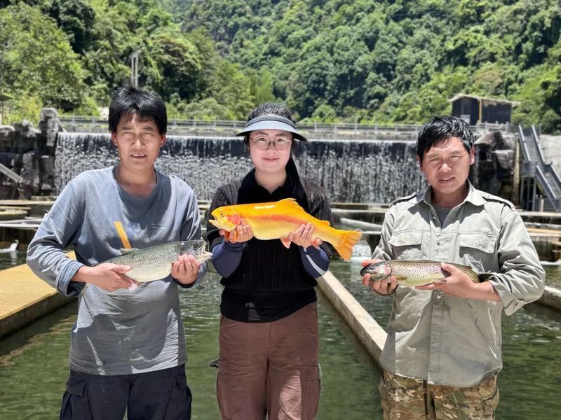 攀枝花龍魚冷水魚養殖場在哪里