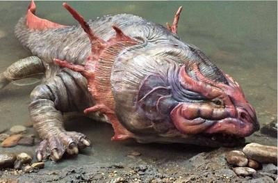 龍魚沒水能活多少天：六角恐龍魚不能離開水太久，它的存活時間將會受到嚴重影響 龍魚沒水能活多少天：六角恐龍魚不能離開水太久，它的存活時間將會受到嚴重影響 龍魚百科 第3張