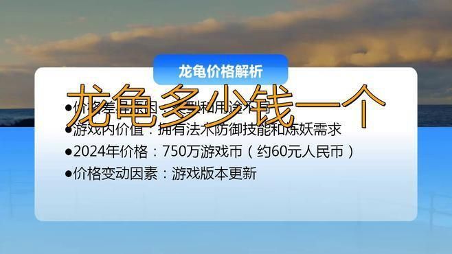 龍龜飾品的價格范圍