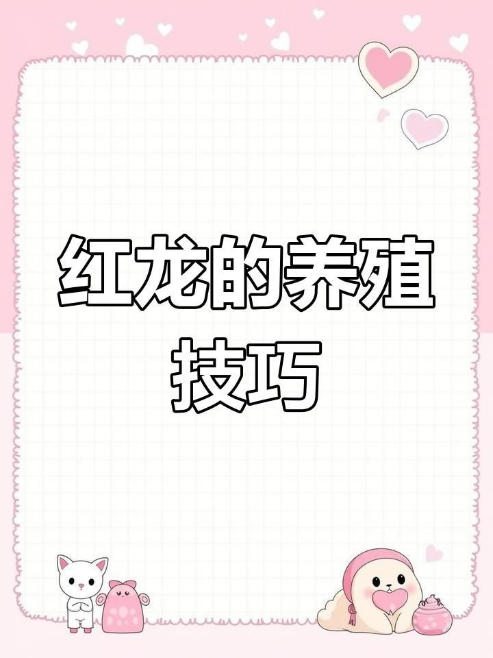 紅龍海水魚多久換一次水？ 紅龍海水魚多久換一次水？ 龍魚百科 第1張