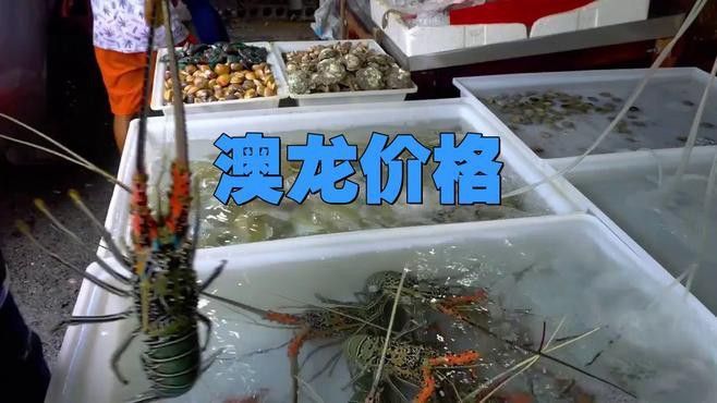 紅龍和澳龍的市場價格是多少？ 紅龍和澳龍的市場價格是多少？ 龍魚百科 第4張