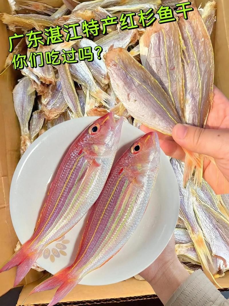 金絲魚圖片