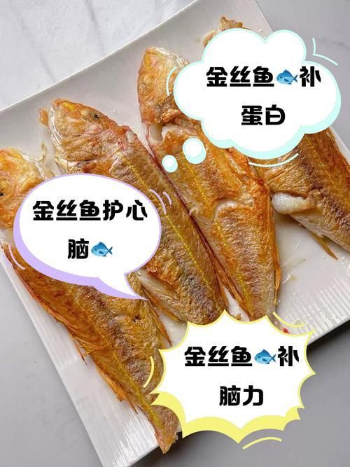 金絲魚圖片