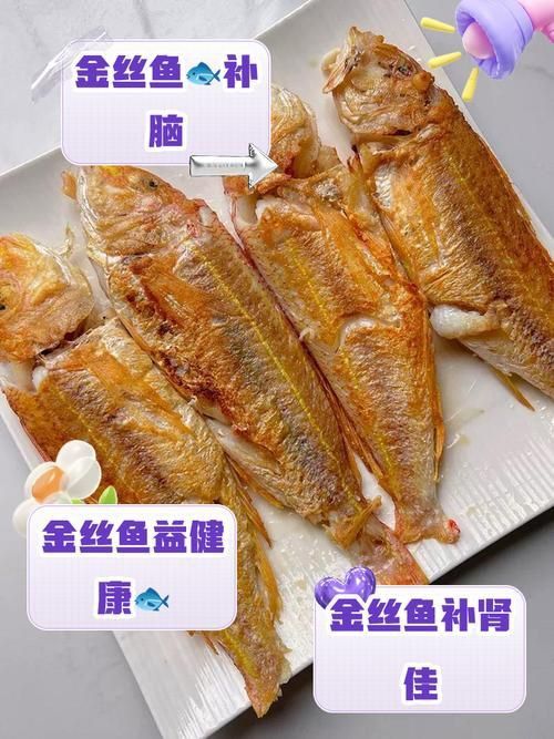 金絲魚圖片