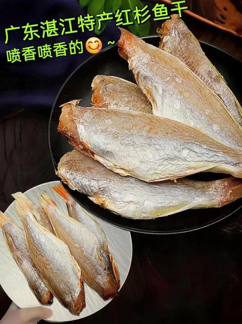 金絲魚圖片