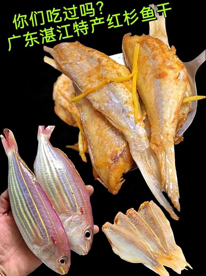 金絲魚圖片