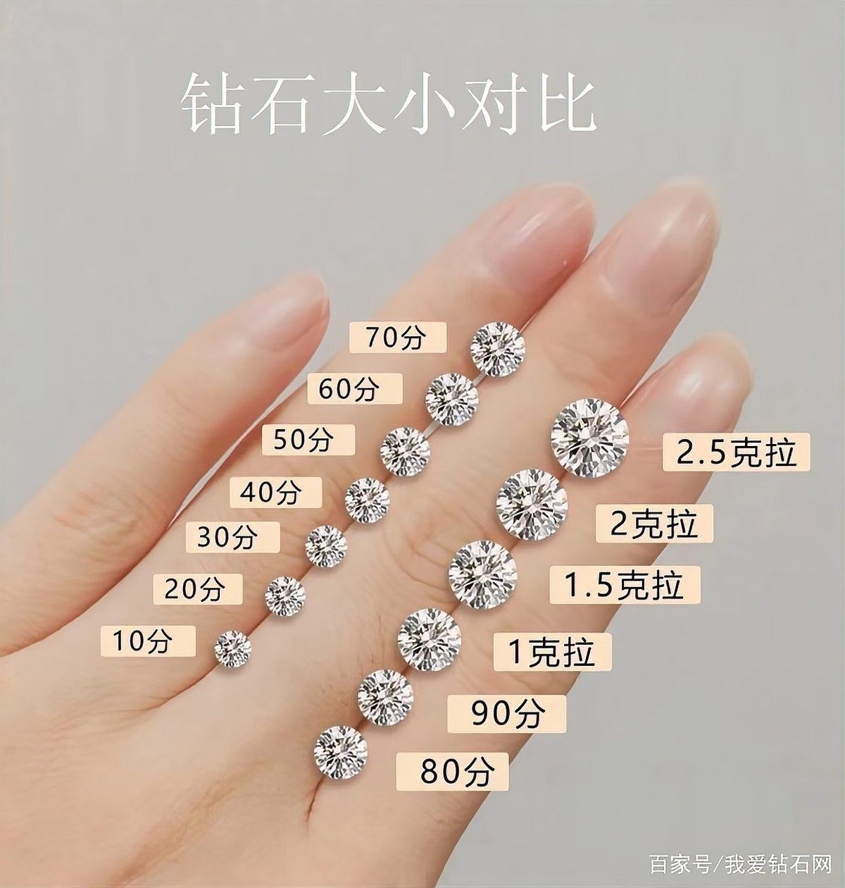 六福珠寶鉆石等級一覽表 六福珠寶鉆石等級一覽表 龍魚百科 第1張