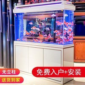 龍魚挪缸一個星期沒開口了會死嗎：龍魚挪缸一周不開口會死嗎 龍魚挪缸一個星期沒開口了會死嗎：龍魚挪缸一周不開口會死嗎 龍魚百科 第2張