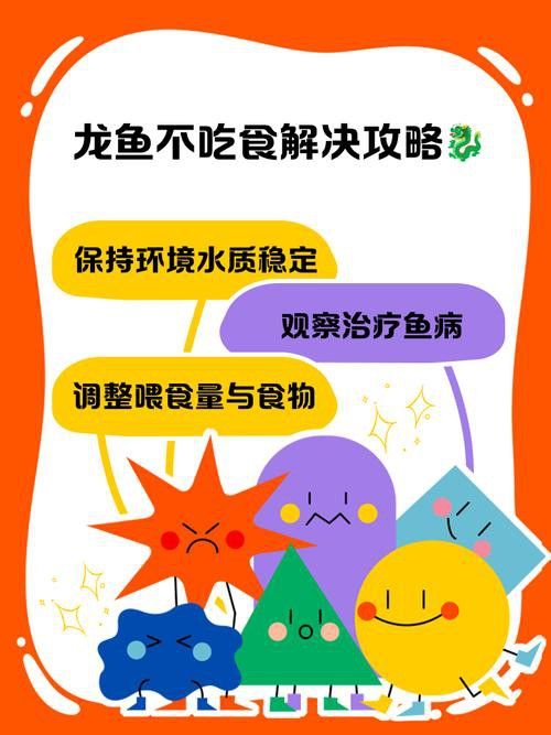 金龍魚為什么做掉眼手術后不能吃了
