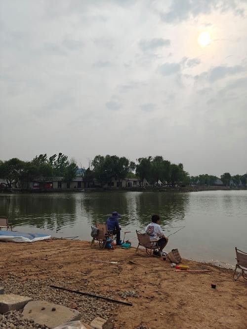 哈爾濱龍魚灣垂釣園地址在哪里 哈爾濱龍魚灣垂釣園地址在哪里 龍魚百科 第3張