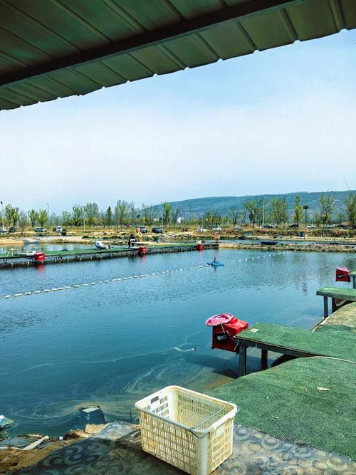 哈爾濱龍魚灣垂釣園地址在哪里 哈爾濱龍魚灣垂釣園地址在哪里 龍魚百科 第1張