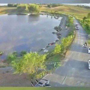 哈爾濱龍魚灣垂釣園地址在哪里 哈爾濱龍魚灣垂釣園地址在哪里 龍魚百科 第8張