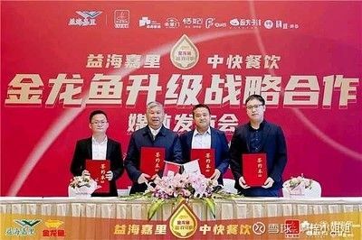 金龍魚奧運會官方<strong><mark>合作</mark></strong>伙伴（金龍魚奧運期間促銷活動）