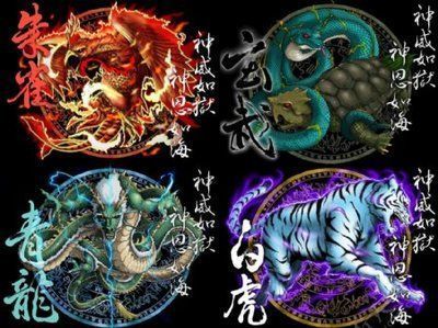 龍魚(yú)混養(yǎng)四大神獸一般養(yǎng)幾只 龍魚(yú)混養(yǎng)四大神獸一般養(yǎng)幾只 龍魚(yú)百科 第1張