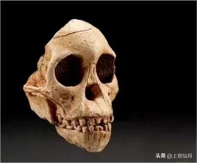 龍魚用嘴呼吸正常嗎：龍魚在呼吸時(shí)張嘴是正常現(xiàn)象
