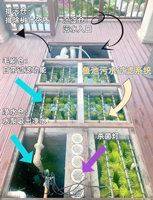 龍魚過濾要用哪些濾材比較好