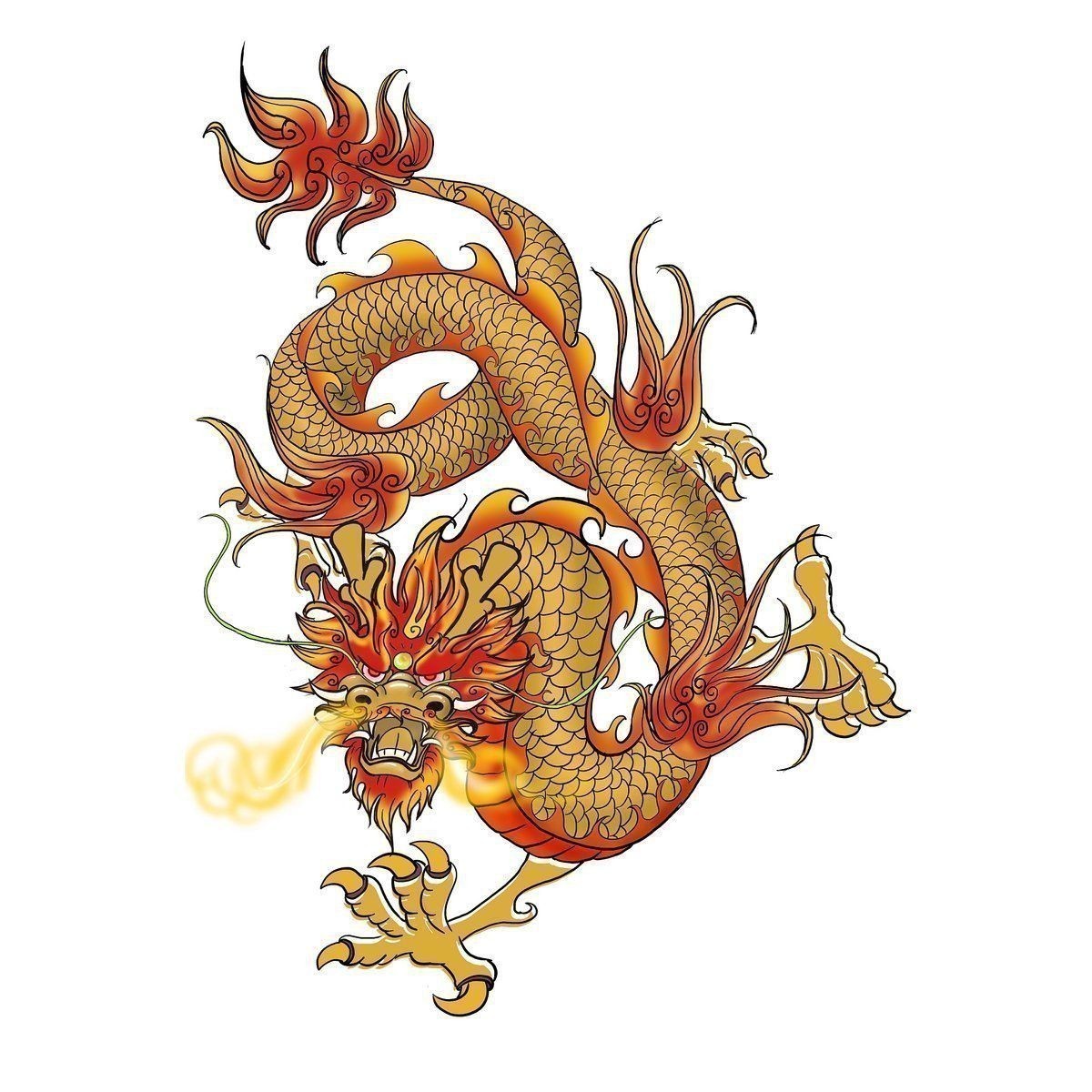 金龍壁畫的最佳搭配 金龍壁畫的最佳搭配 龍魚百科 第4張