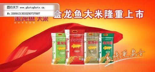 金龍魚價(jià)格表紅色的（紅色金龍魚價(jià)格表） 金龍魚價(jià)格表紅色的（紅色金龍魚價(jià)格表） 龍魚百科 第2張