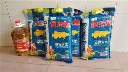 金龍魚買大還是買小的：購買金龍魚時應該綜合考慮魚的品質、飼養難度、飼養難度