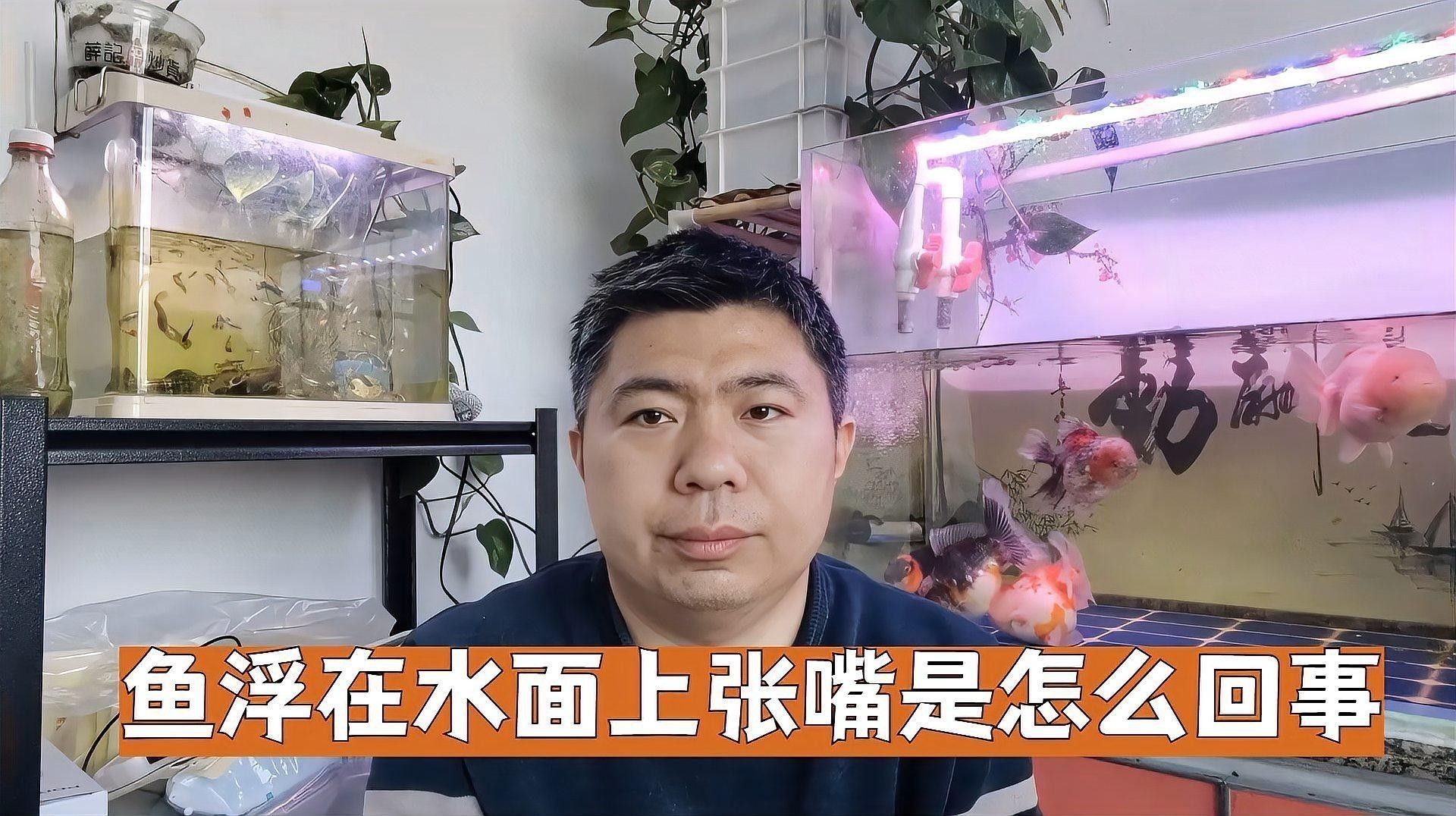 龍魚(yú)浮頭張嘴是生病了嗎？ 龍魚(yú)浮頭張嘴是生病了嗎？ 龍魚(yú)百科 第5張