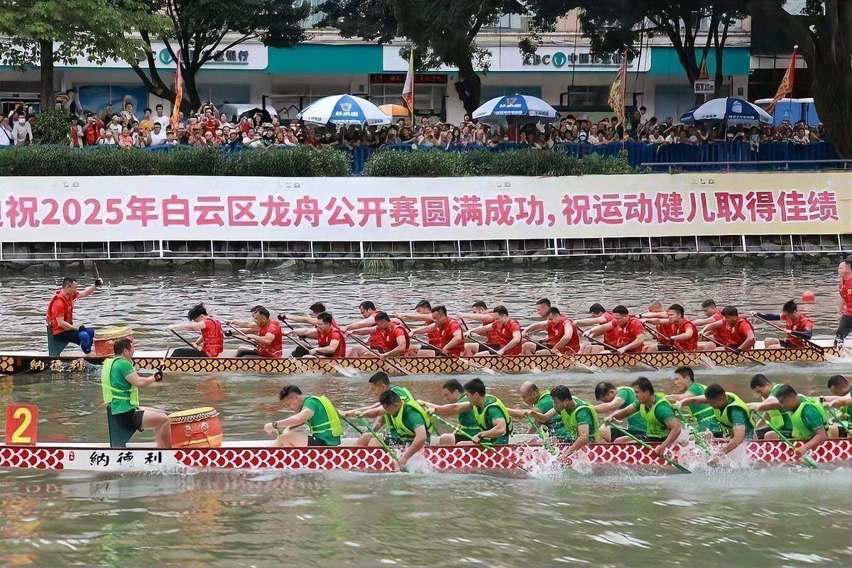 廣州龍魚比賽特殊組隊有哪些 廣州龍魚比賽特殊組隊有哪些 龍魚百科 第2張