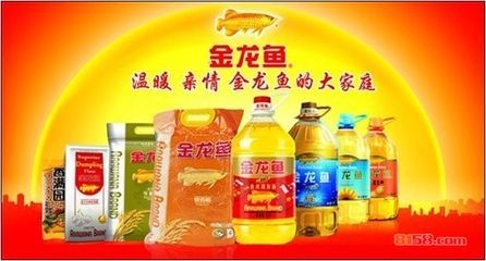 金龍魚宣傳詞怎么寫，金龍魚品牌故事介紹, 金龍魚宣傳詞怎么寫，金龍魚品牌故事介紹, 龍魚百科 第4張