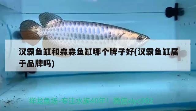 漢霸魚缸和森森魚缸哪個好，漢霸魚缸與森森魚缸價格區(qū)間查詢漢霸魚缸與森森魚缸價格區(qū)間查詢