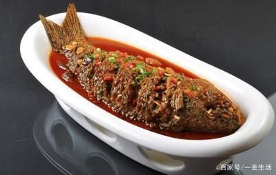 龍魚可以吃海鮮嗎怎么養：養殖龍魚時需要注意以下幾點措施，龍魚混養搭配建議