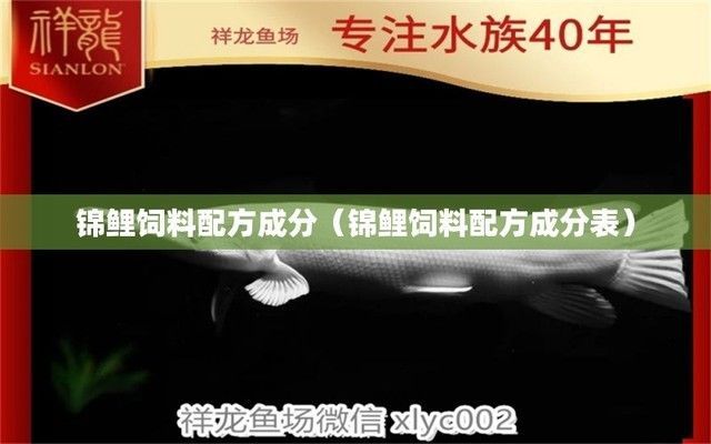 金龍魚怎么看品相好壞啊視頻：如何判斷金龍魚的品相好壞？全面解析金龍魚品相標準