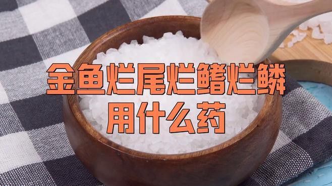 治療龍睛金魚爛尾病的方法有哪些？