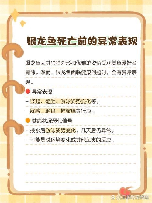 銀龍魚魚鱗發紅怎么回事兒圖片
