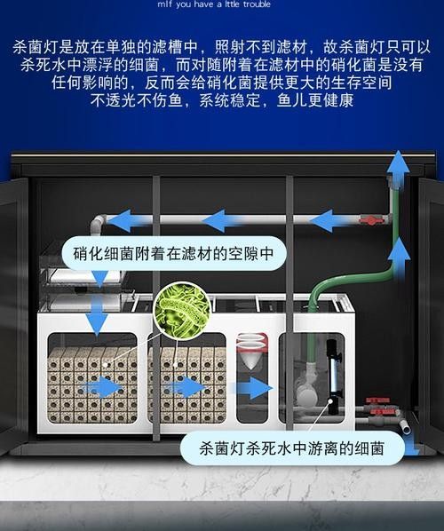 龍魚缸需要放殺菌燈嗎
