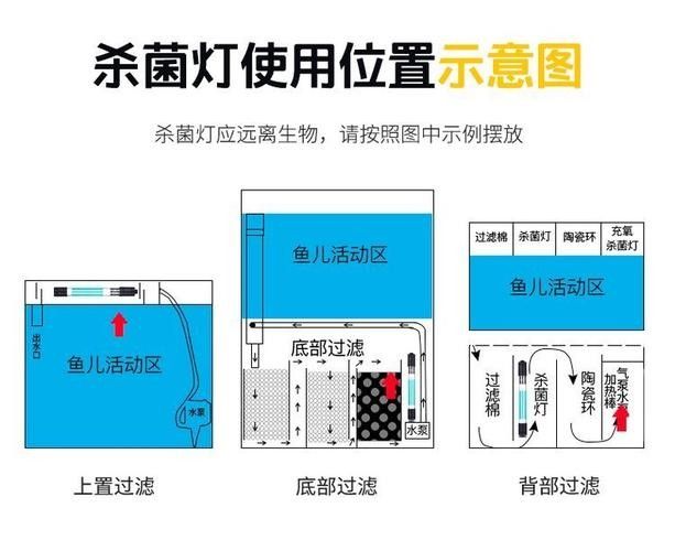 龍魚缸需要放殺菌燈嗎