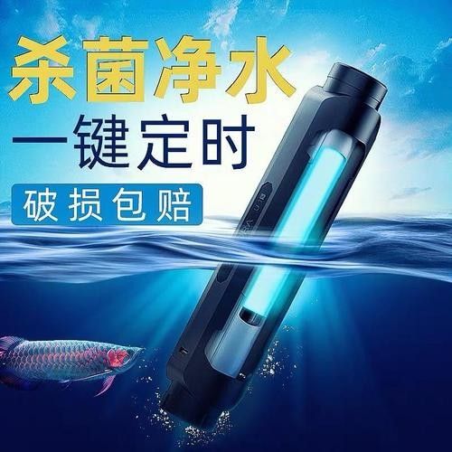龍魚缸需要放殺菌燈嗎